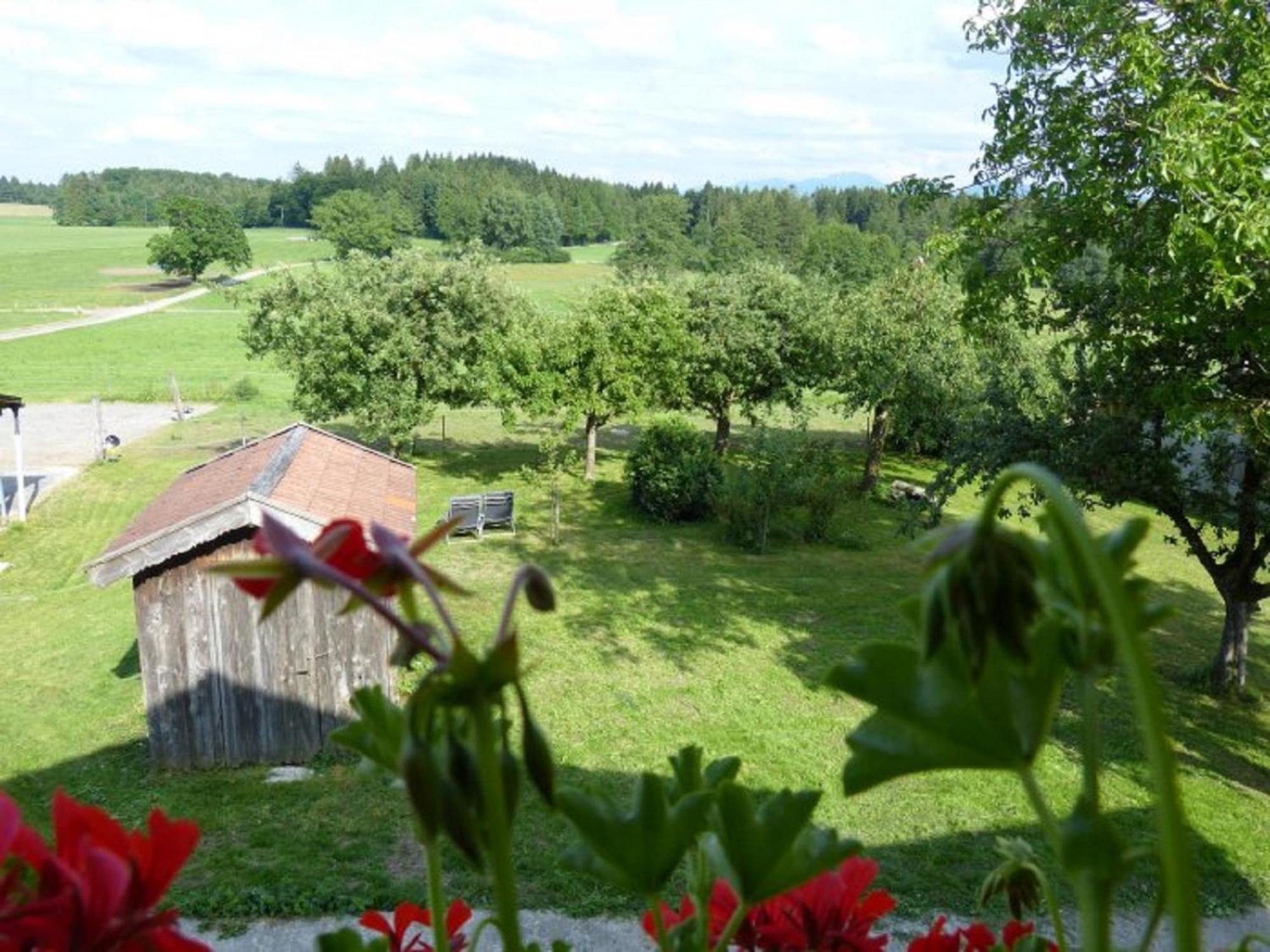 Appartement Druckerhof à Obersochering Extérieur photo